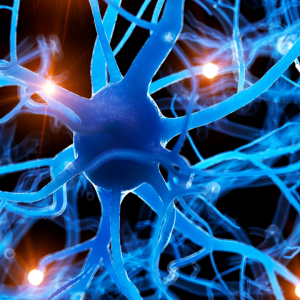 Neurology with KP Khalsa
