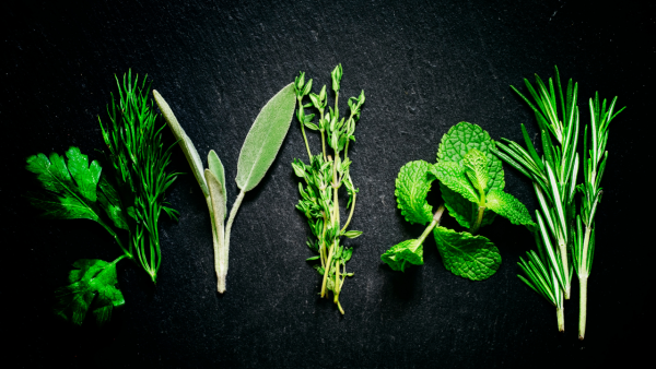 Herbs in the Greek Tradition