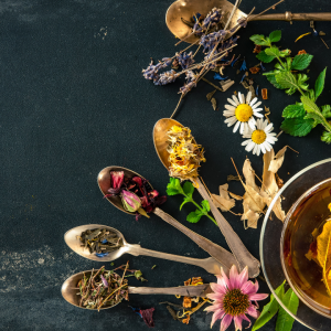 Building Sound Herbal Formulas