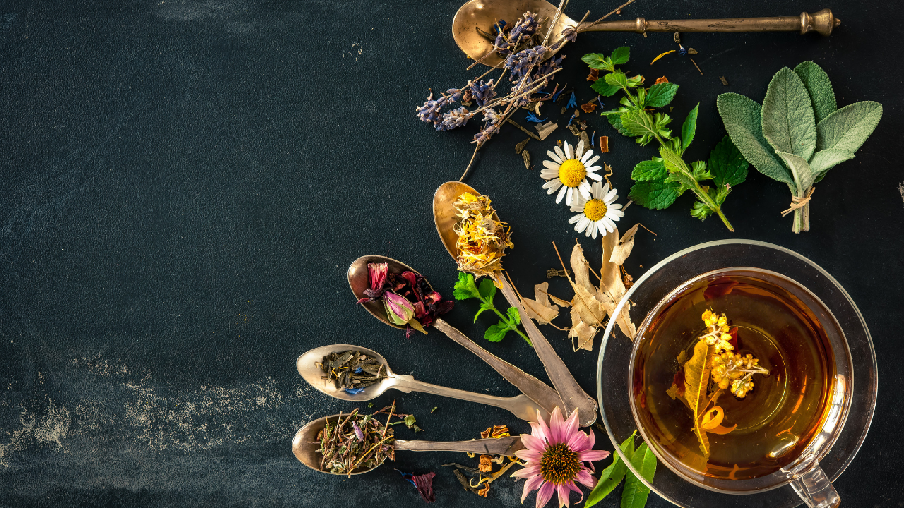 Building Sound Herbal Formulas - Image 1