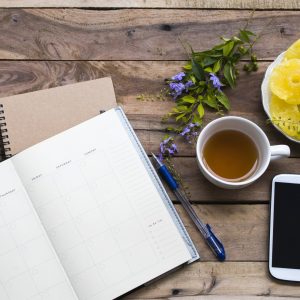 Herbalism and the Polyvagal Theory