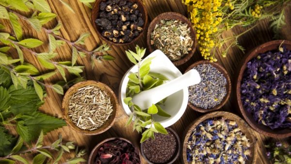 Clinical Herbal & Integrative Cancer Care