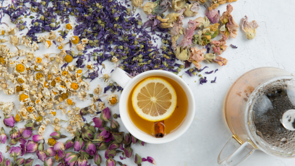 Formulating a Custom Gut Tea with Maria Noel Groves