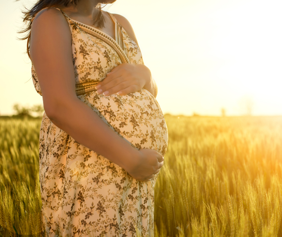 Herbal Support during the Childbearing Cycle - Image 1