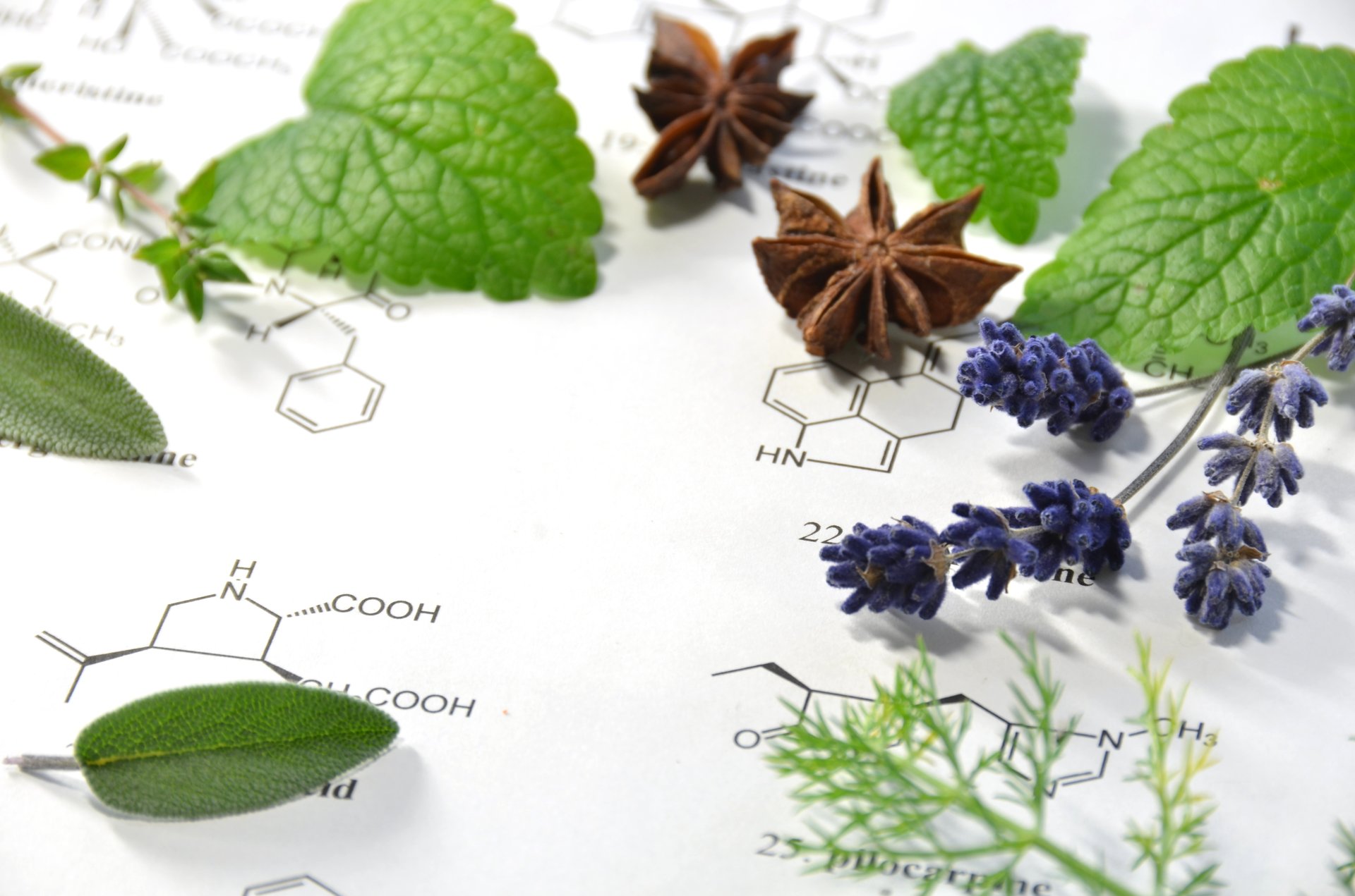 Herbal Pharmacology (Part II) - Image 1