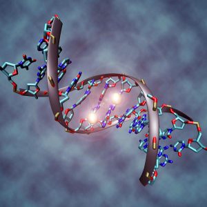 Managing Methylation in Clinical Practice