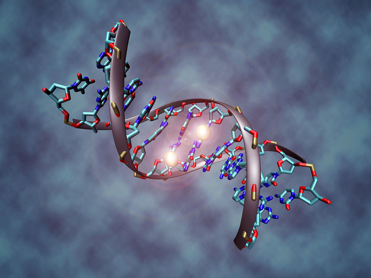Managing Methylation in Clinical Practice - Image 1